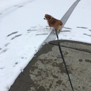 Bundle and save! Make a reasonable offer!